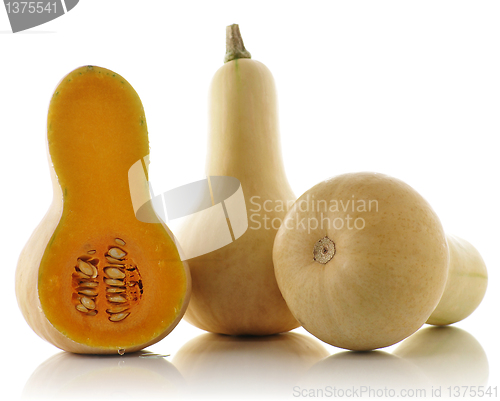 Image of Butternut squash