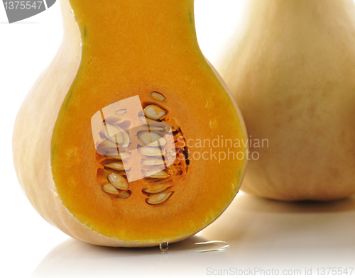 Image of Butternut squash