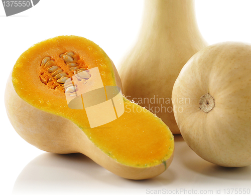 Image of Butternut squash
