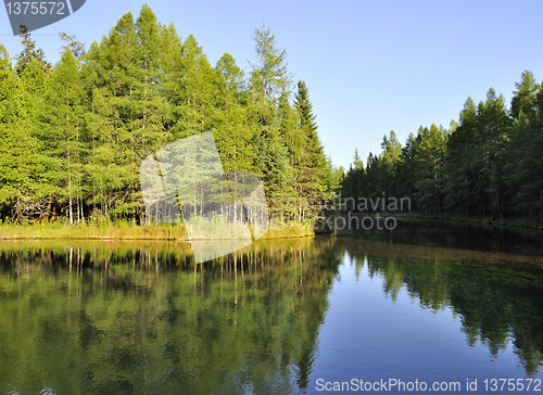 Image of forest lake