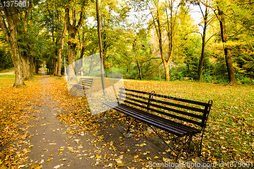 Image of bench in the park