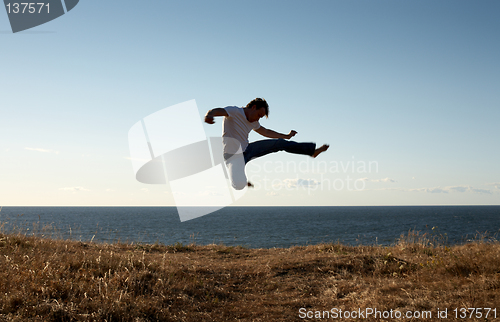 Image of jump-kick