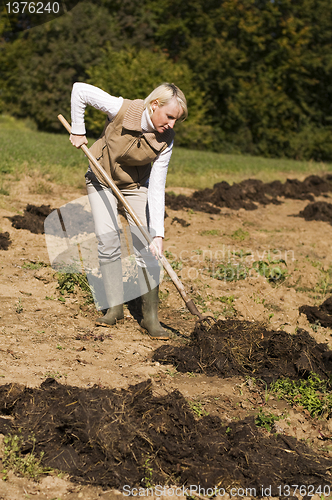 Image of Gardening