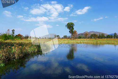 Image of Beautiful landscape of Lake