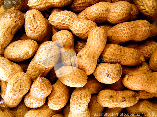 Image of peanut