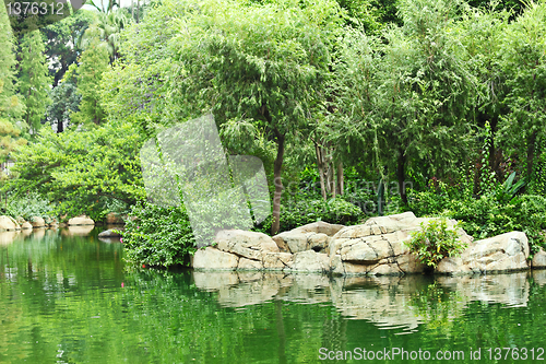 Image of pond in park