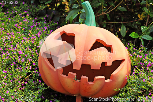 Image of pumpkin face