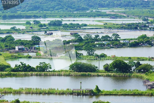 Image of Fish Hatchery Pond