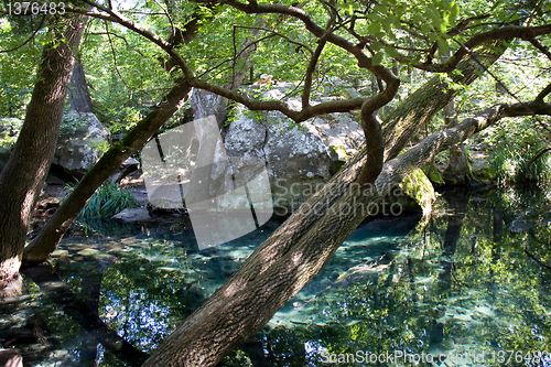 Image of lake in the park