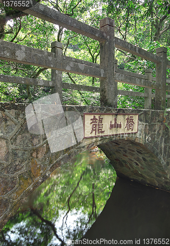 Image of Bridge in the forest