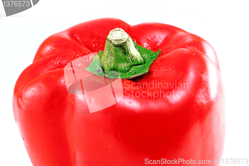 Image of red pepper