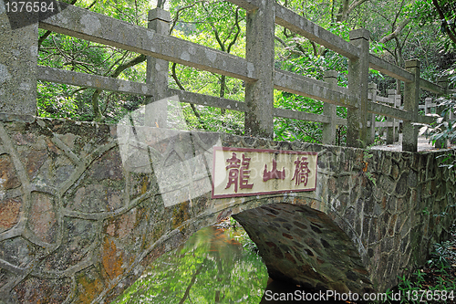 Image of Bridge in the forest