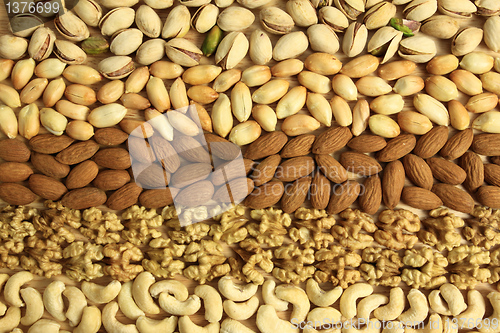 Image of Nut varieties