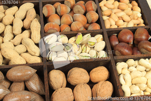 Image of Nut varieties