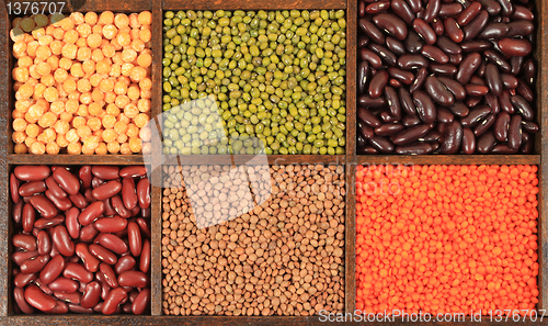 Image of Beans