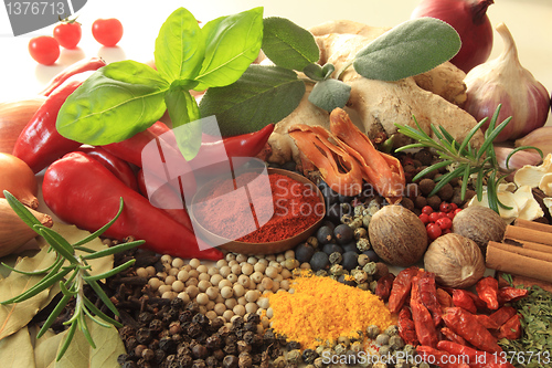 Image of Spices and herbs