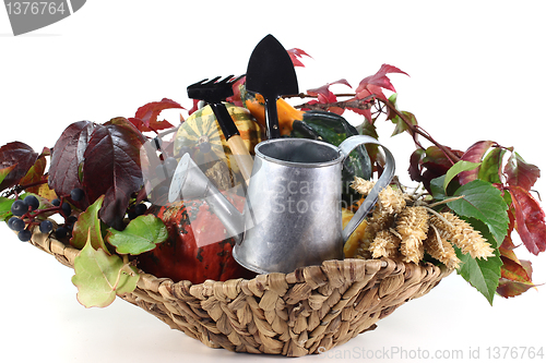 Image of Thanksgiving basket