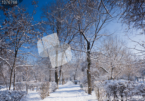 Image of landscape park in winter 