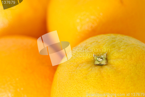 Image of Oranges