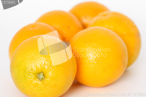 Image of Oranges