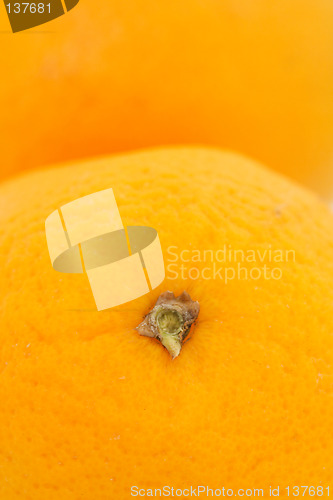 Image of Oranges