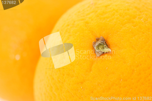 Image of Oranges