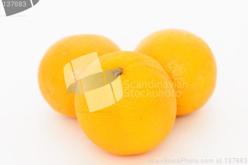 Image of Oranges