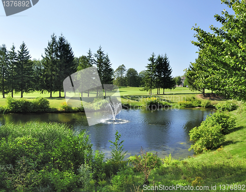 Image of summer landscape