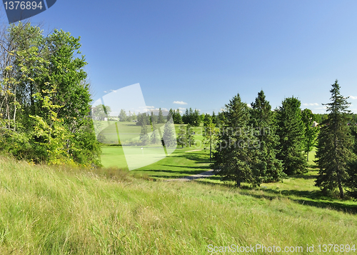 Image of summer landscape