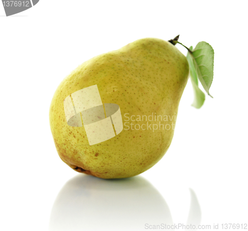 Image of fresh pear 