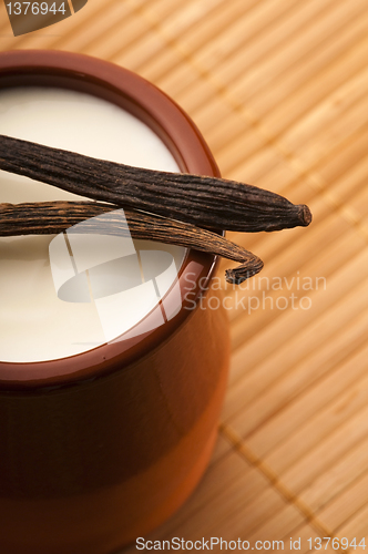 Image of Sweet vanilla pudding dessert 