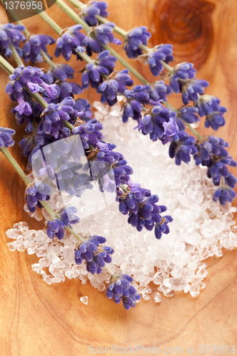 Image of Bath Salt With Fresh Lavender Flowers
