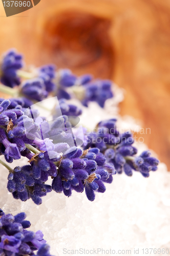 Image of Bath Salt With Fresh Lavender Flowers