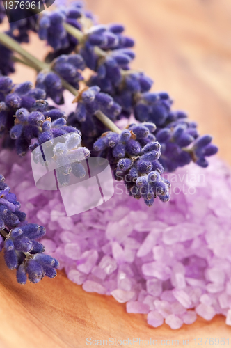 Image of Bath Salt With Fresh Lavender Flowers