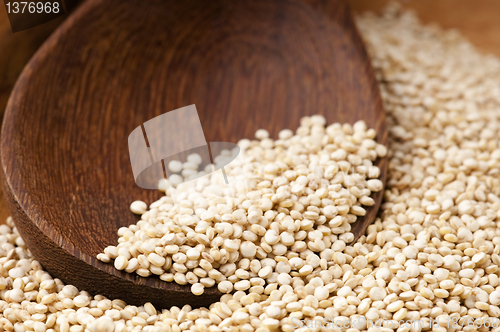 Image of Quinoa grain