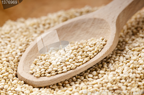 Image of Quinoa grain