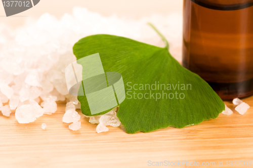 Image of ginko biloba essential oil with fresh leaves - beauty treatment