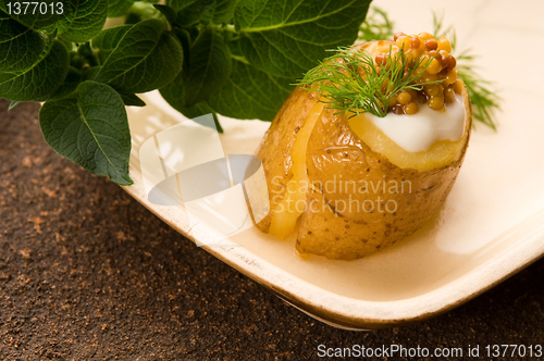 Image of Baked potato with sour cream, grain Dijon mustard and herbs