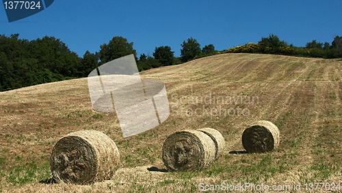Image of Rural views of Tuscany, Italy