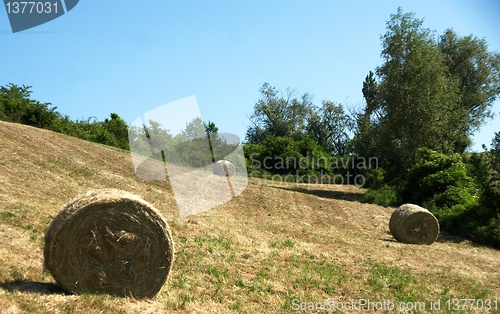 Image of Rural views of Tuscany, Italy