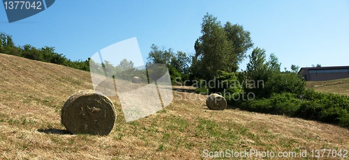 Image of Rural views of Tuscany, Italy