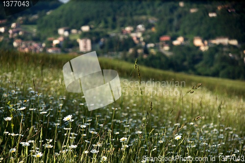 Image of Rural views of Tuscany, Italy