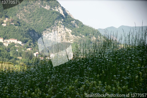 Image of Rural views of Tuscany, Italy