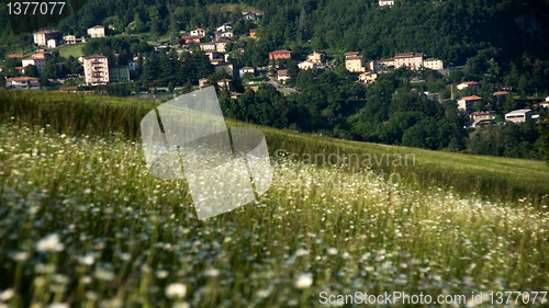 Image of Rural views of Tuscany, Italy