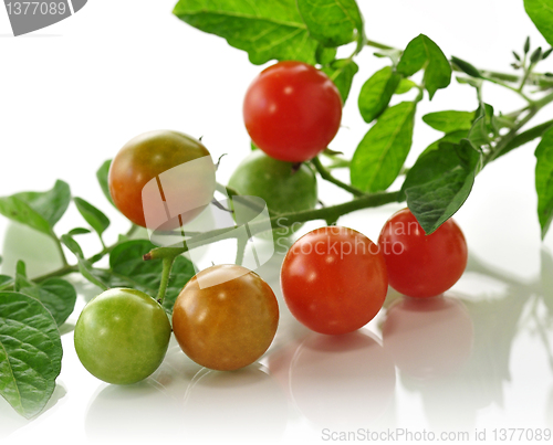 Image of cherry tomatoes