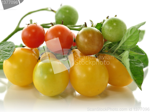 Image of yellow and red small tomatoes 