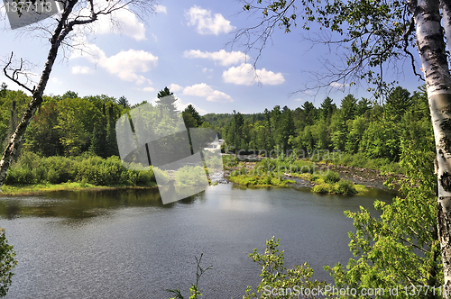 Image of summer landscape