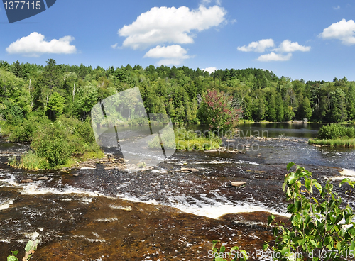 Image of summer landscape