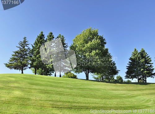 Image of hill with trees
