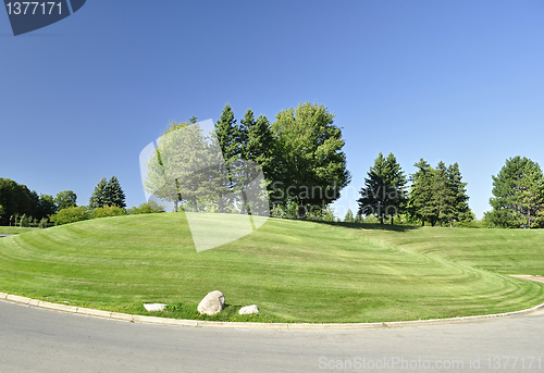 Image of hill with trees 